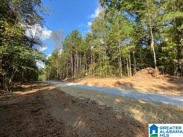 0 Maddox Farm Road, Unit OPTION 2 TRACT 2 Odenville, AL 35120 - Photo 4 of 7