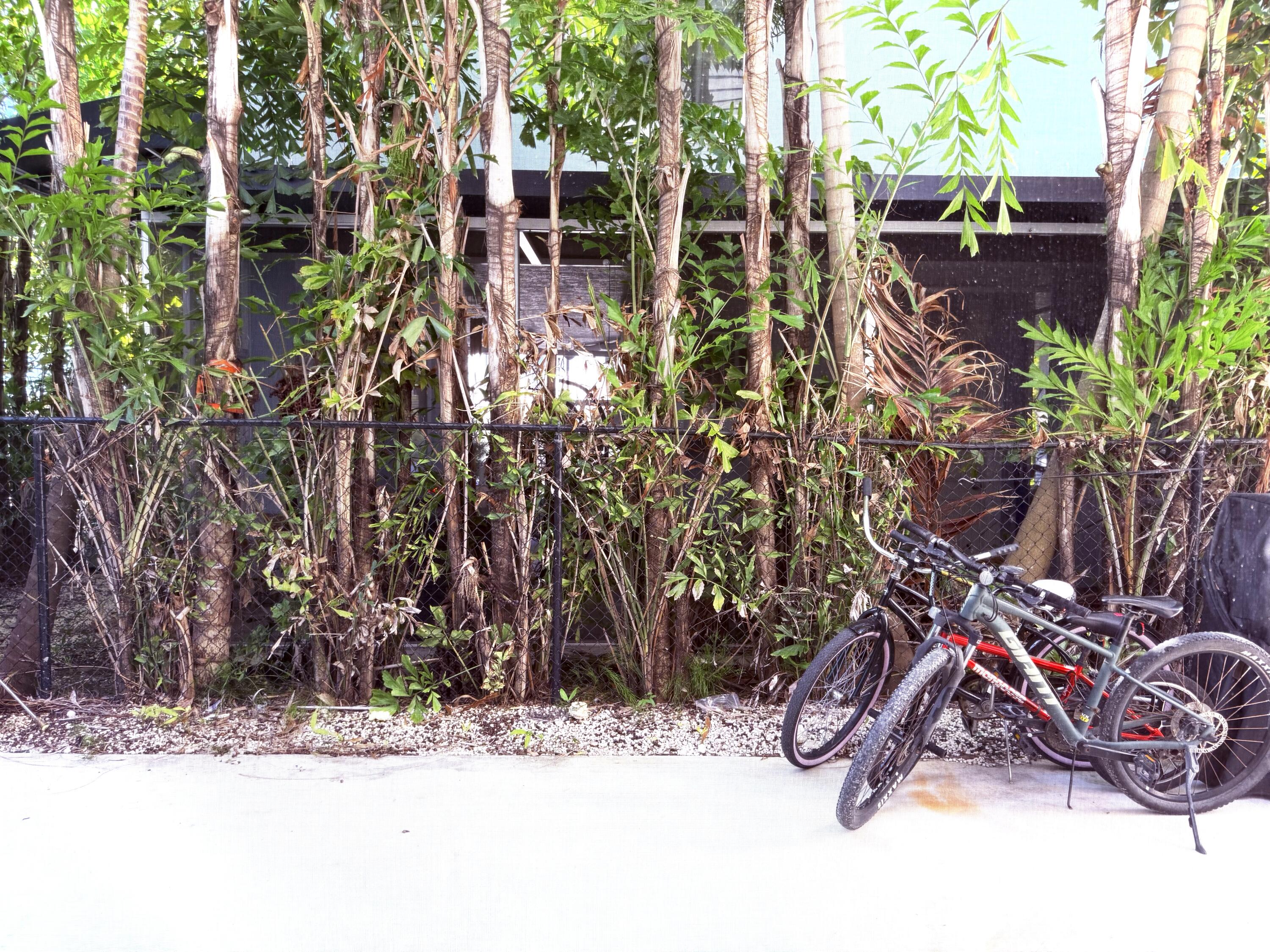15 Lake View Drive Key Largo, FL 33037 - Photo 7 of 53 a view of outdoor space with seating