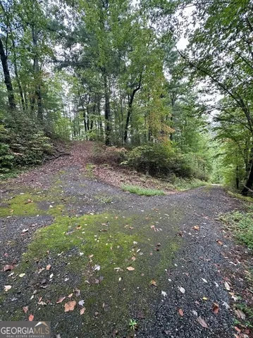 $149,000 | 0 Sequoia Hills Lane, Tiger, GA 30525