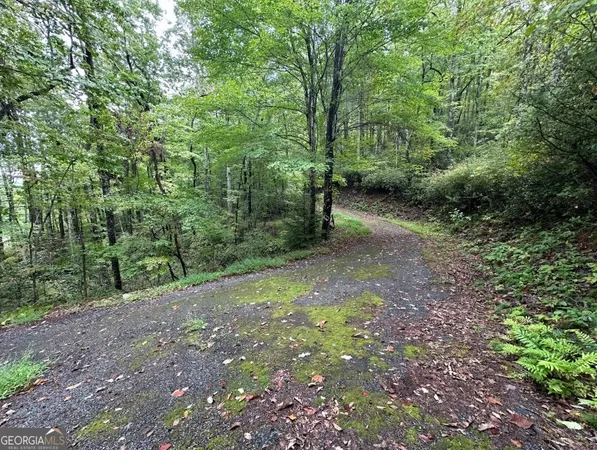 $149,000 | 0 Sequoia Hills Lane, Tiger, GA 30525