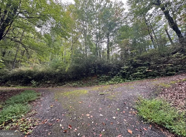 $149,000 | 0 Sequoia Hills Lane, Tiger, GA 30525