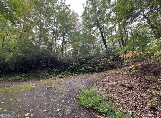 $149,000 | 0 Sequoia Hills Lane, Tiger, GA 30525