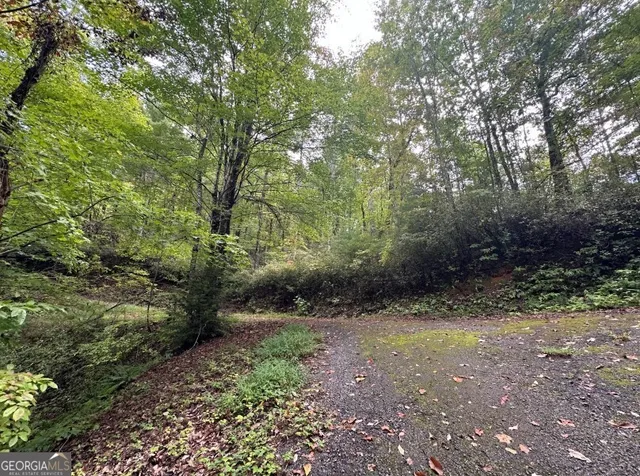 $149,000 | 0 Sequoia Hills Lane, Tiger, GA 30525