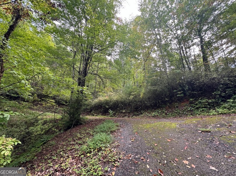 0 Sequoia Hills Lane Tiger, GA 30525 - Photo 19 of 28