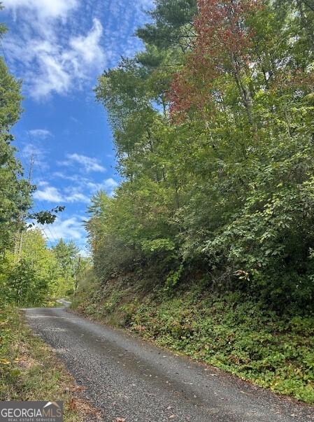 0 Sequoia Hills Lane Tiger, GA 30525 - Photo 22 of 28