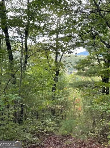 $149,000 | 0 Sequoia Hills Lane, Tiger, GA 30525