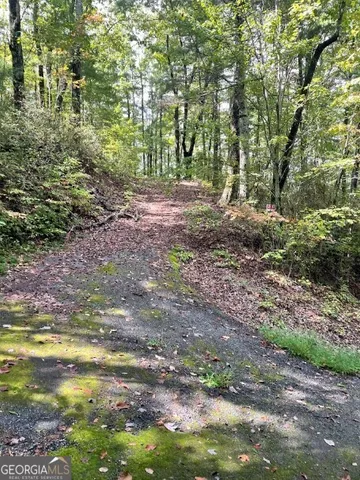 $149,000 | 0 Sequoia Hills Lane, Tiger, GA 30525