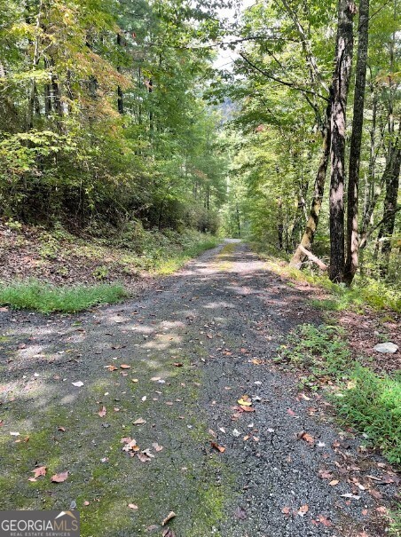 0 Sequoia Hills Lane Tiger, GA 30525 - Photo 7 of 28