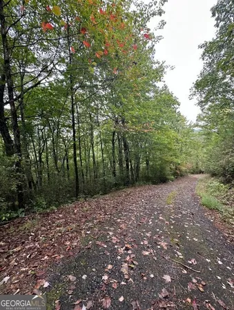 $149,000 | 0 Sequoia Hills Lane, Tiger, GA 30525