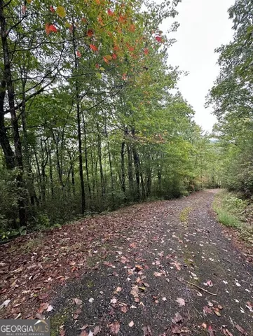 $149,000 | 0 Sequoia Hills Lane, Tiger, GA 30525