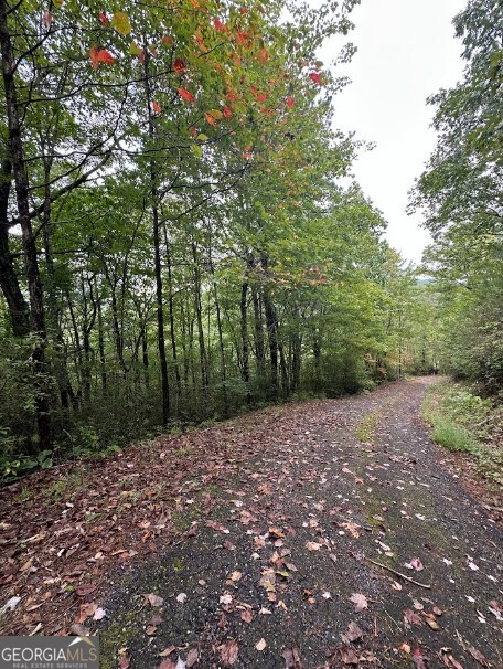 0 Sequoia Hills Lane Tiger, GA 30525 - Photo 9 of 28