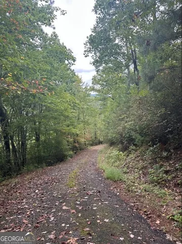 $149,000 | 0 Sequoia Hills Lane, Tiger, GA 30525