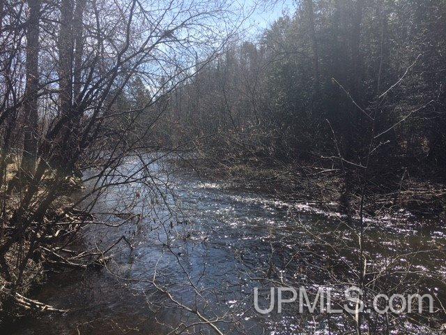 Tbd Brule River Alpha, MI 49902 - Photo 10 of 10