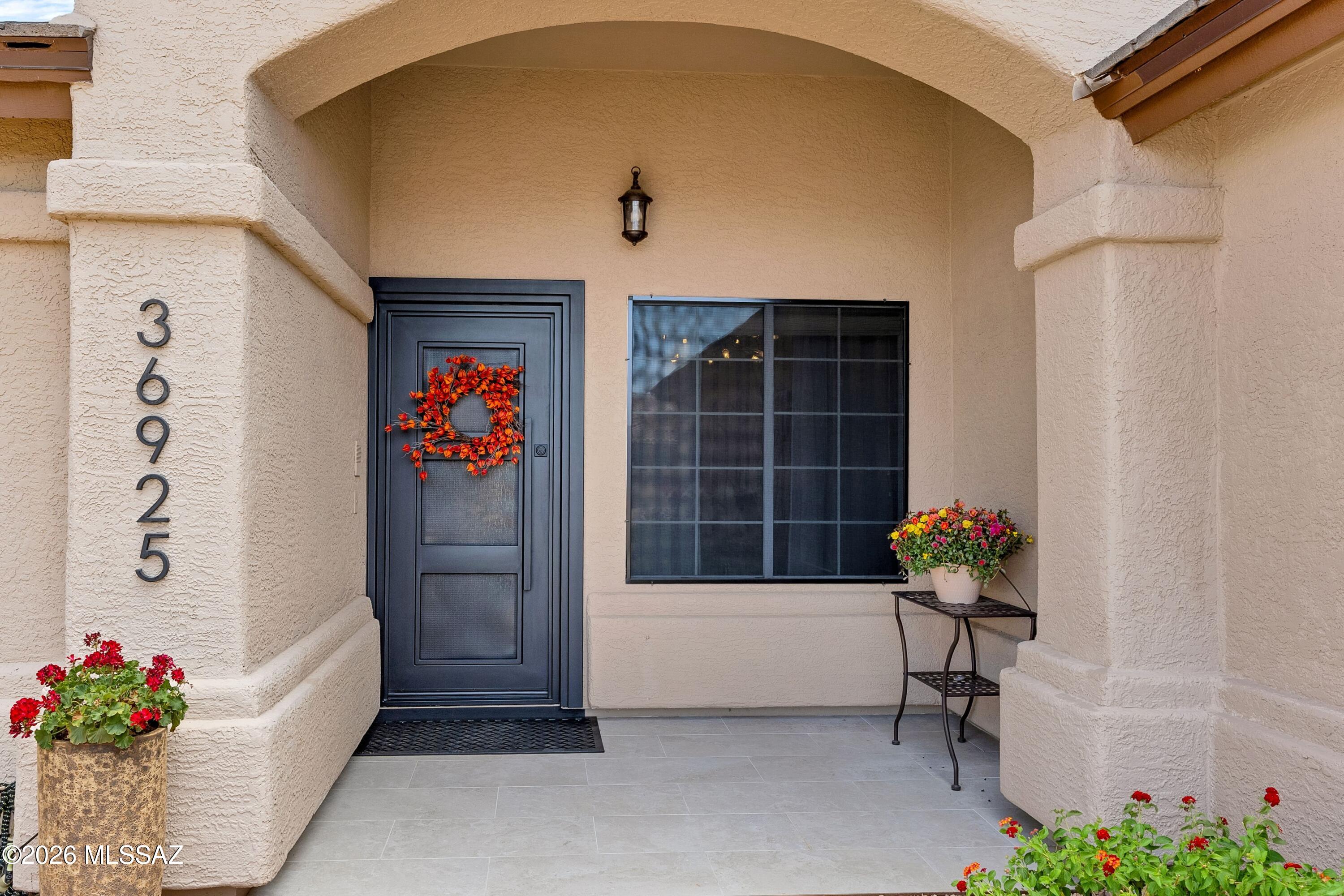 36925 South Ridgeview Boulevard Tucson, AZ 85739 - Photo 5 of 50 Custom Front Entry Door