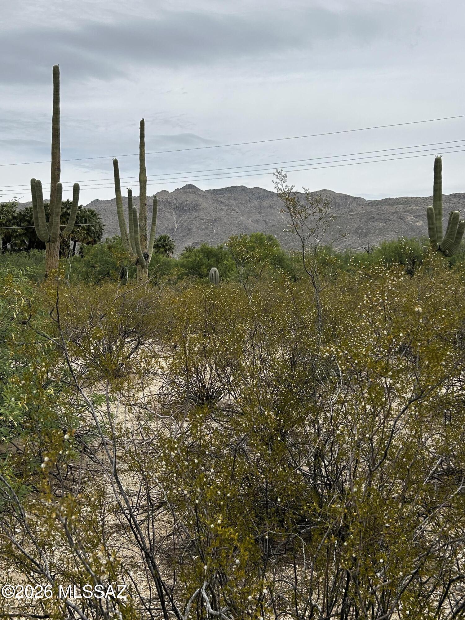 East Roger Road, Unit 46 Tucson, AZ 85749 - Photo 13 of 38