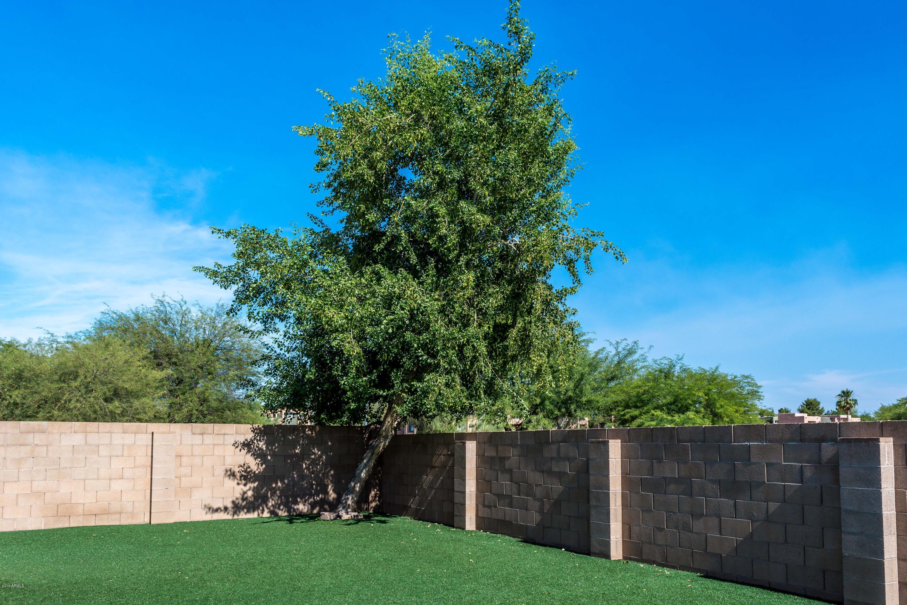 103 West Grandview Road Phoenix, AZ 85022 - Photo 9 of 9 Forever Green Backyard