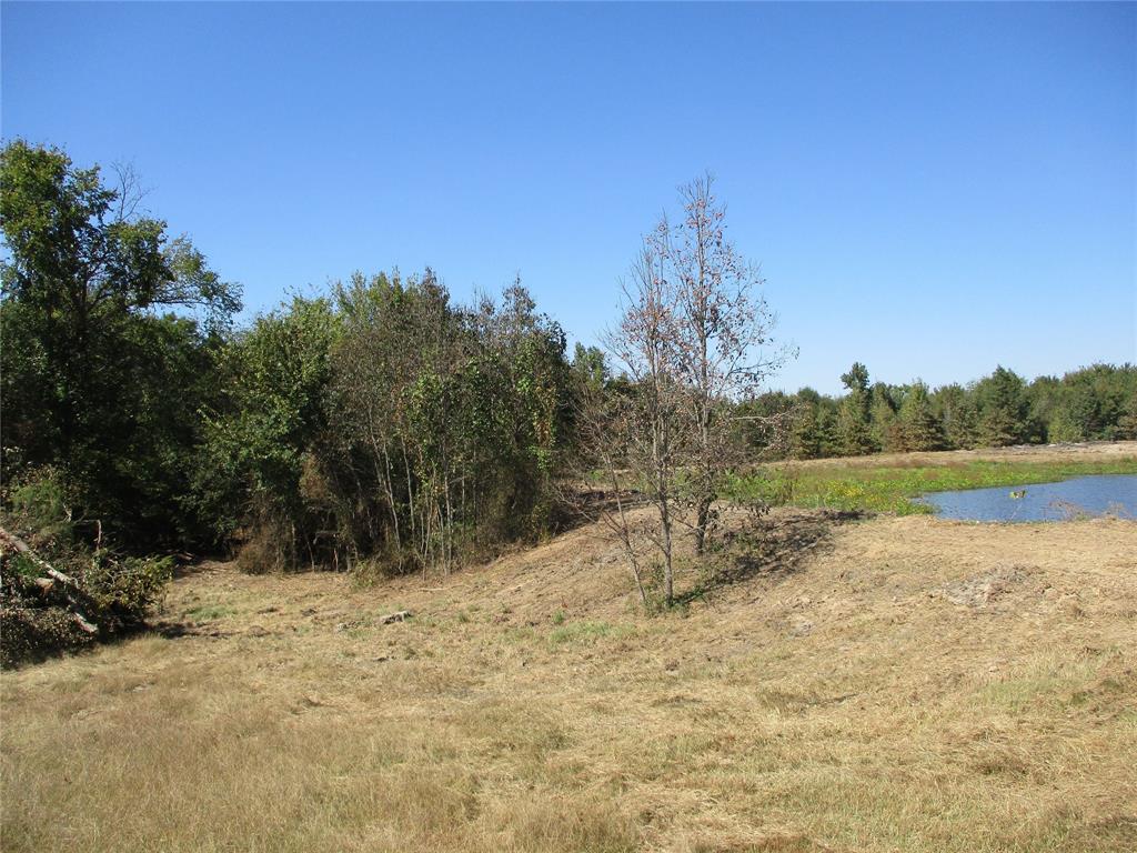 3274 St Emory Tx 75440 Emory, TX 75440 - Photo 2 of 4 a view of lake with mountain in the background