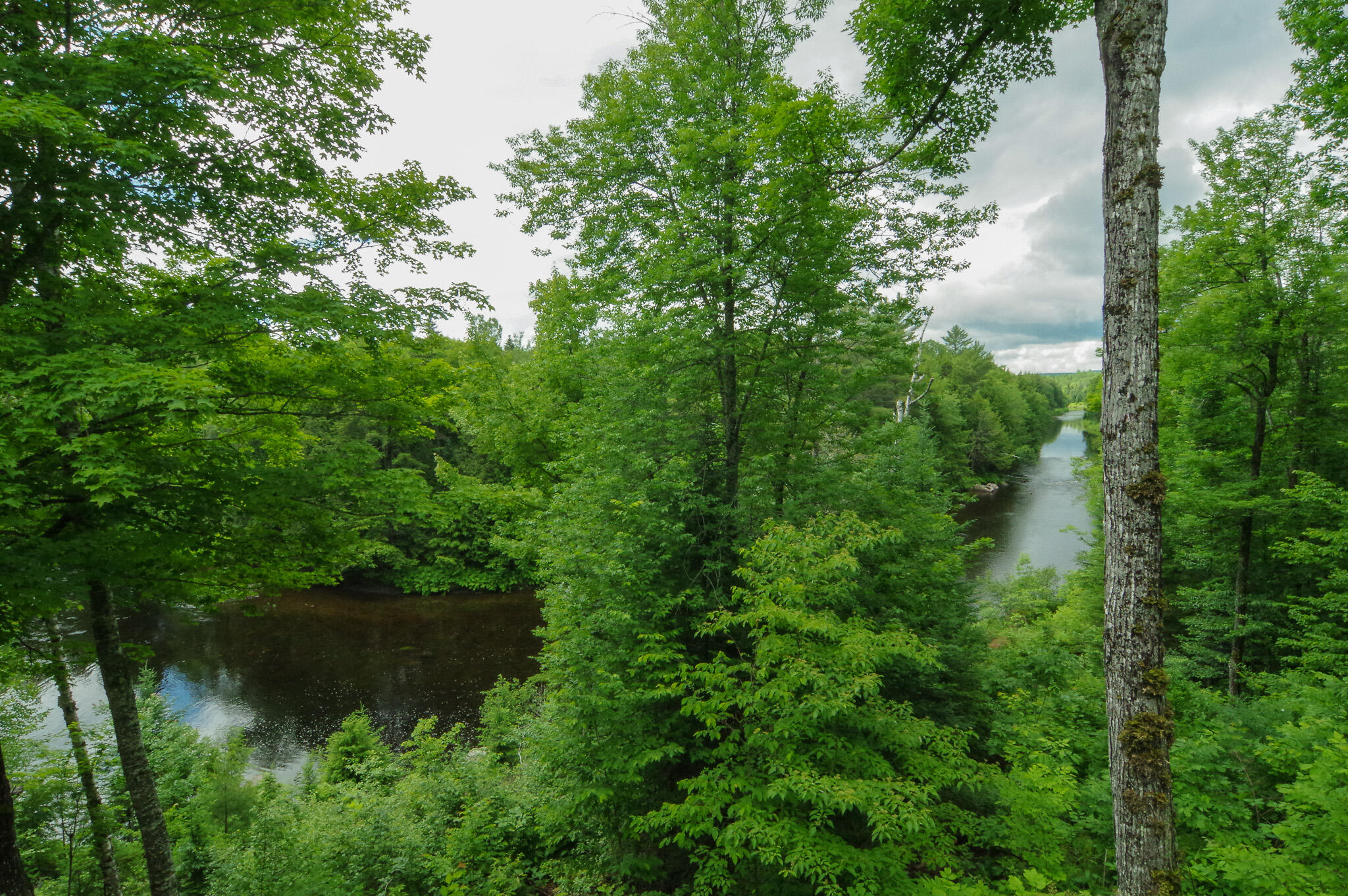 58 River Road Abbot, ME 04406 - Photo 69 of 114 IMGP0484