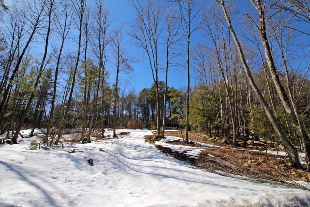 650 Little Mohawk Road Shelburne Falls, MA 01370 - Photo 3 of 12 Gallery Image 3