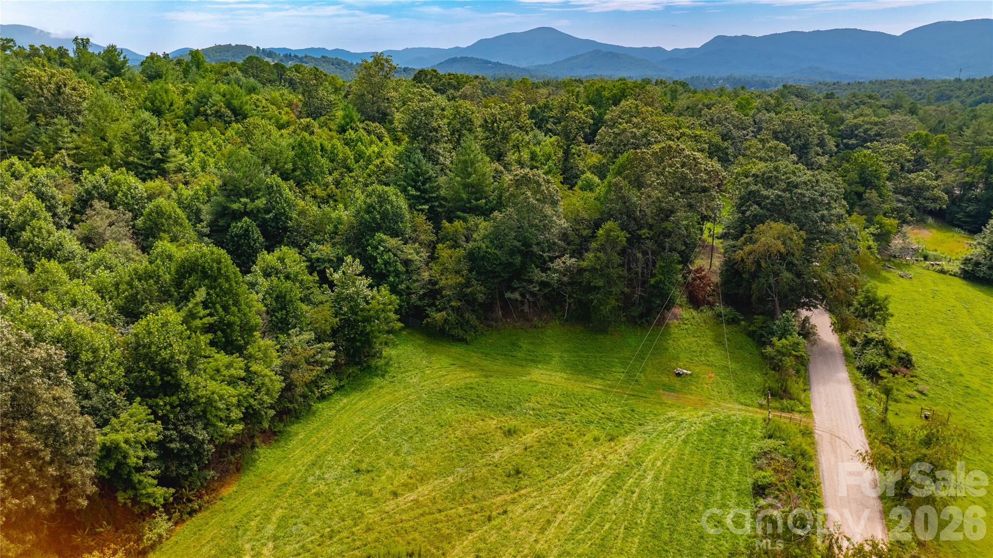 99999 Bob Barnwell Road Fletcher, NC 28732 - Photo 16 of 29 Gallery Image 16