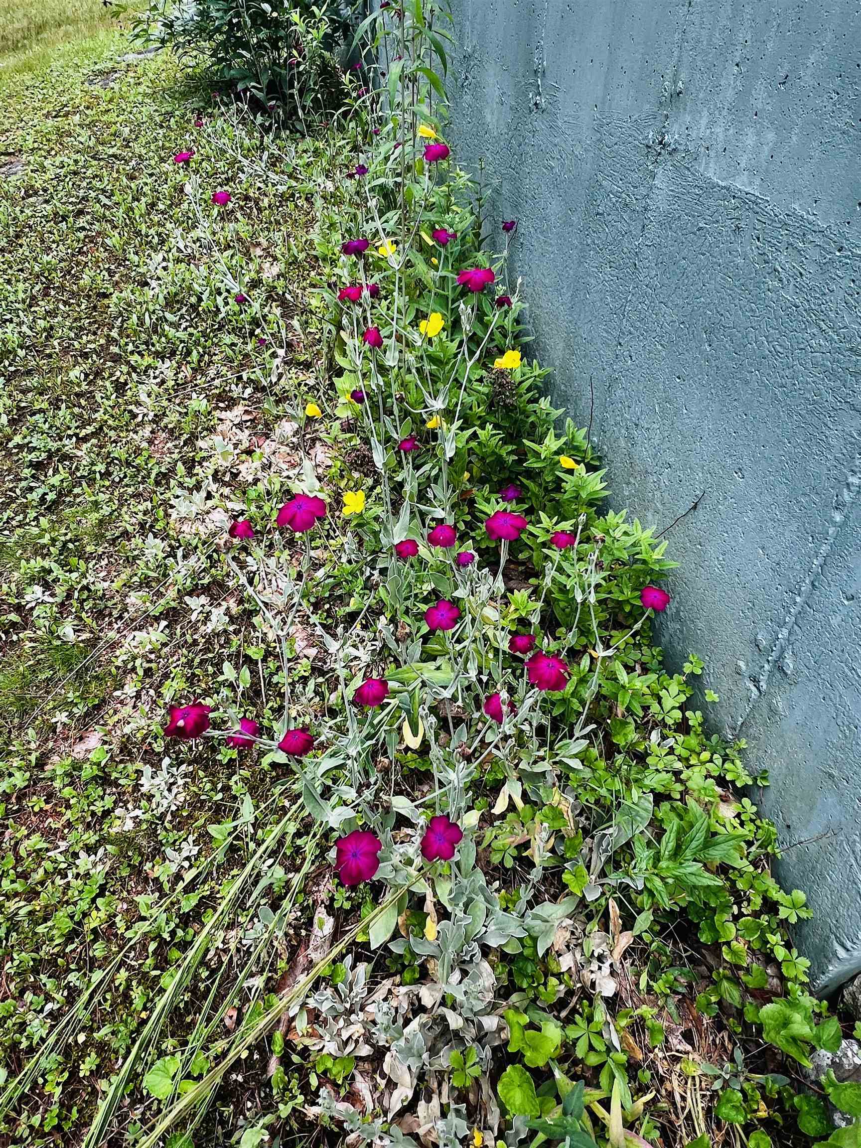 505 Oxbow Road Hinsdale, NH 03451 - Photo 12 of 20