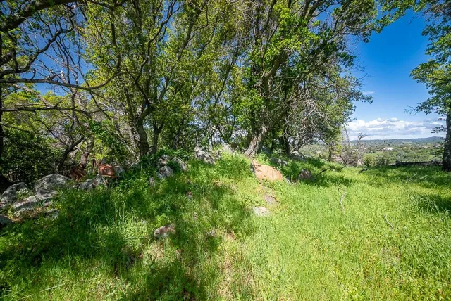 $465,000 | 113 Vinicola Court, El Dorado Hills, CA 95762