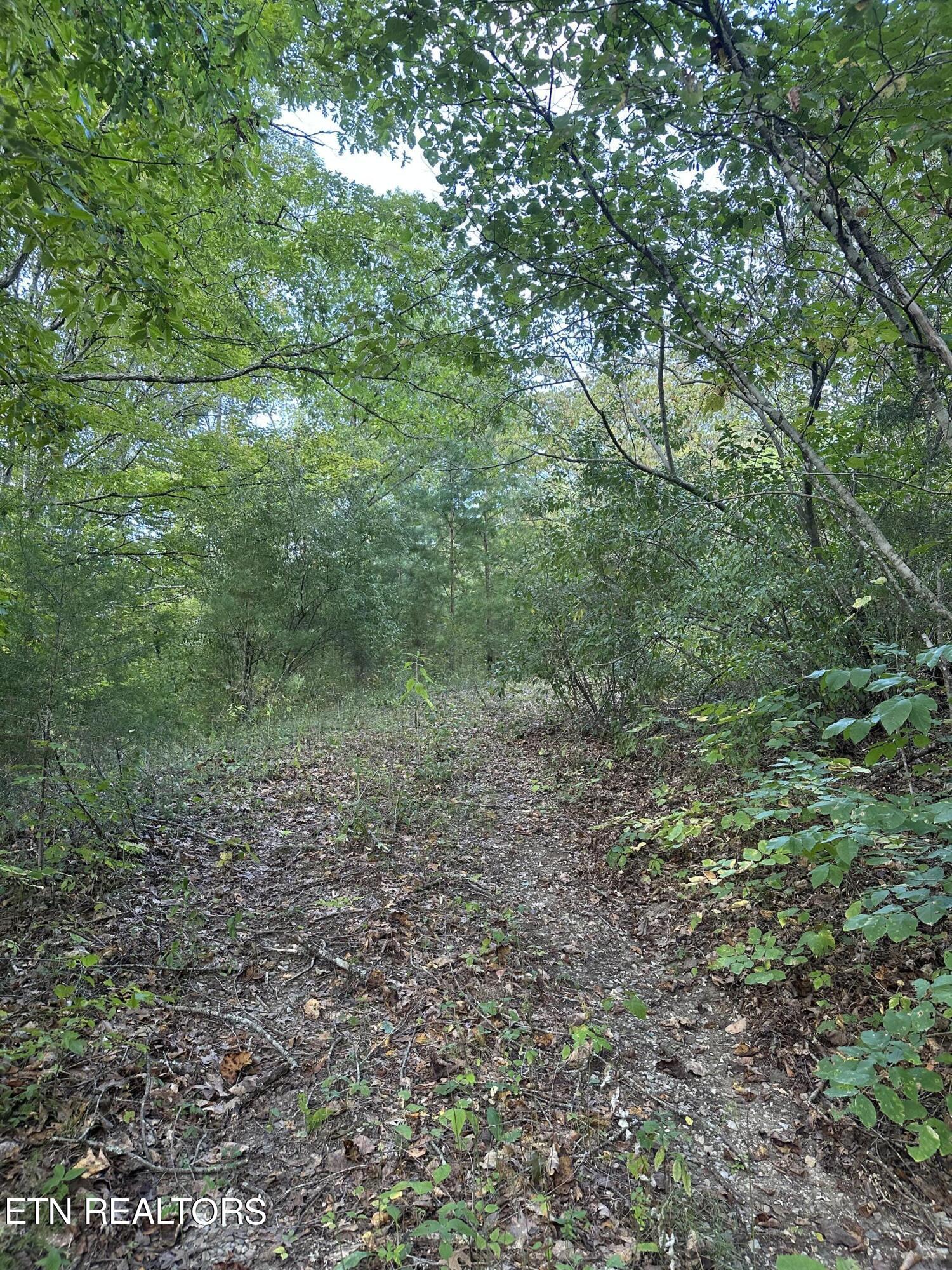 Satterfield Rd Road Maynardville, TN 37807 - Photo 5 of 7 IMG_7582