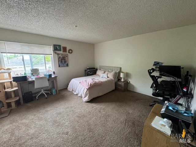 1368 Southwest Boulevard Rohnert Park, CA 94928 - Photo 27 of 53