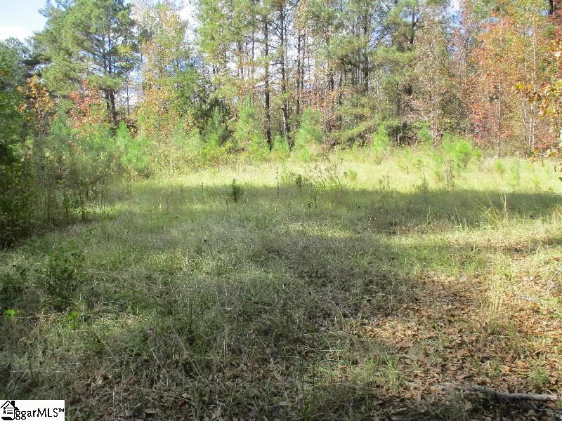 5593 River Fork Road Waterloo, SC 29384 - Photo 2 of 6