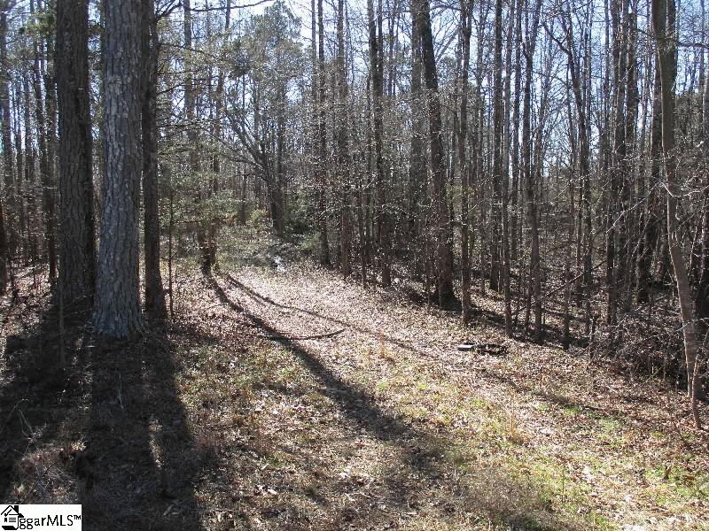 5593 River Fork Road Waterloo, SC 29384 - Photo 3 of 6