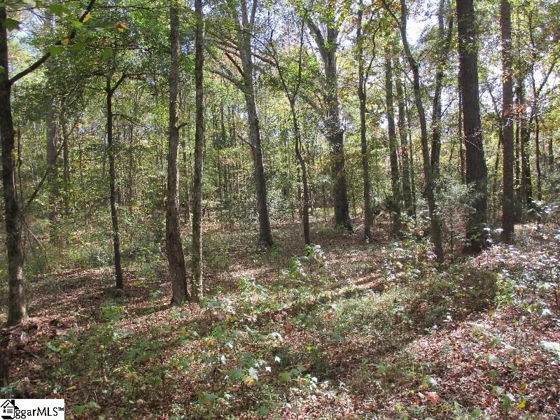 5593 River Fork Road Waterloo, SC 29384 - Photo 5 of 6