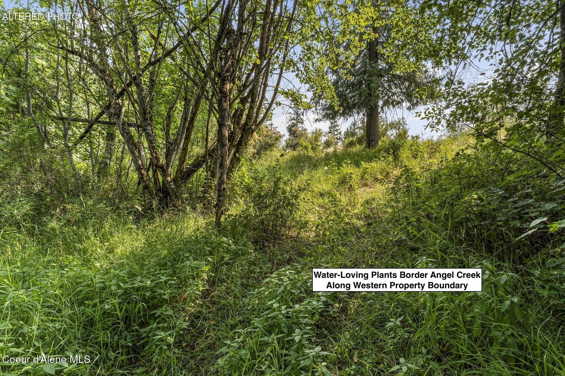 Nna Angel Creek Road Hope, ID 83836 - Photo 28 of 47 Area Adjacent to Angel Creek