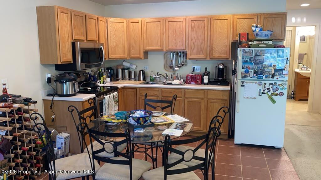 1400 East Valley Road, Unit 1 Basalt, CO 81621 - Photo 6 of 7 IMG_6541