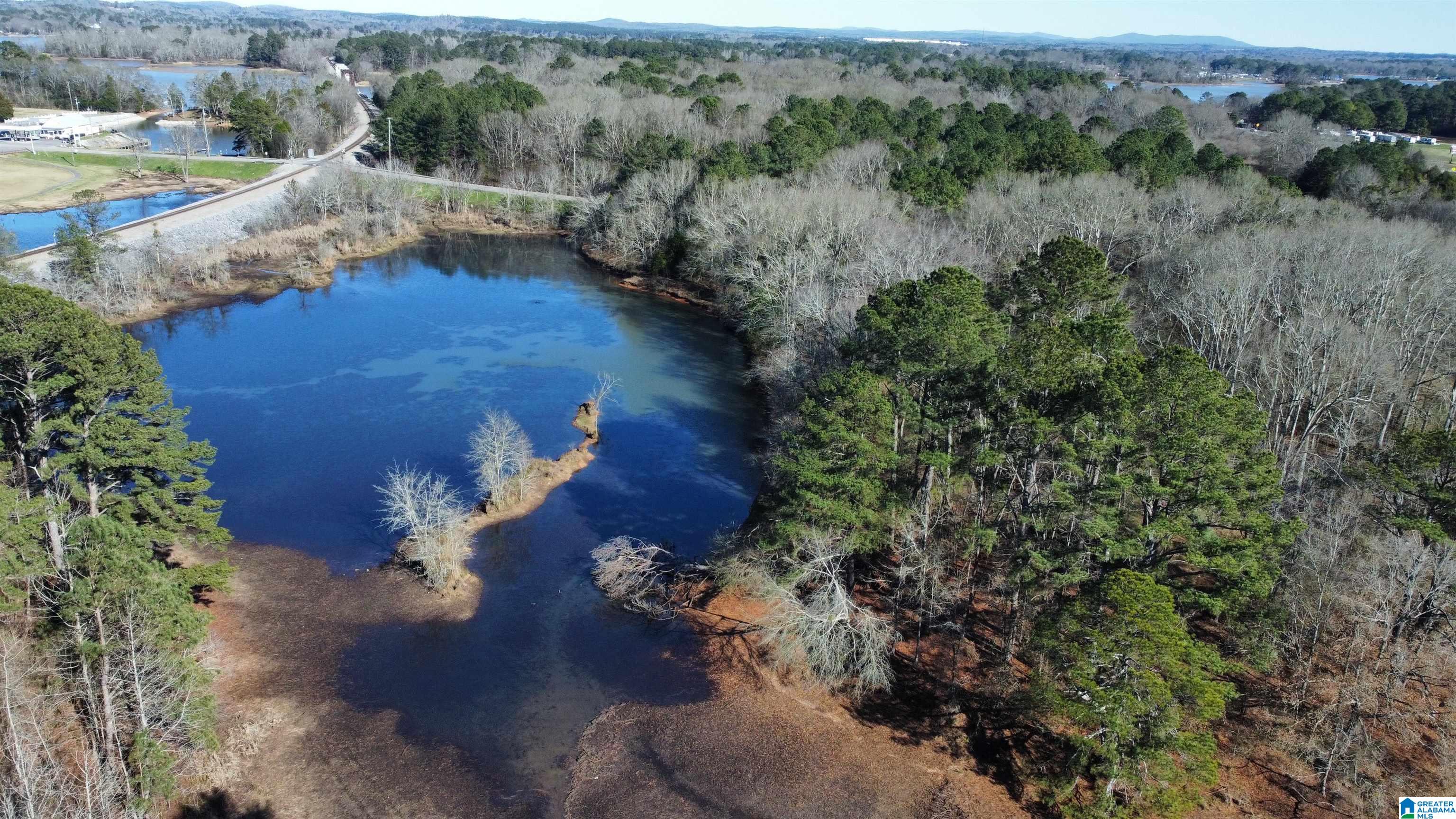 78 Highway Riverside, AL 35135 - Photo 13 of 23