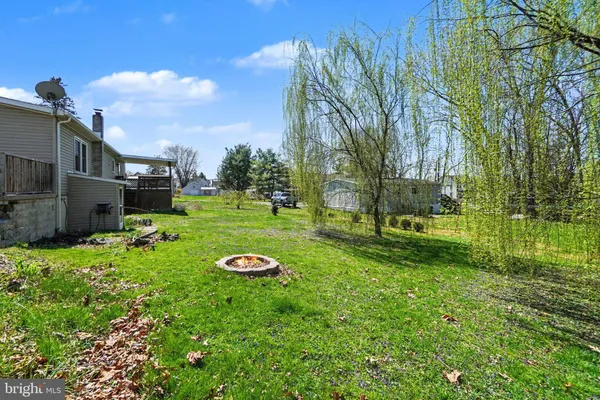 a view of a park with large trees