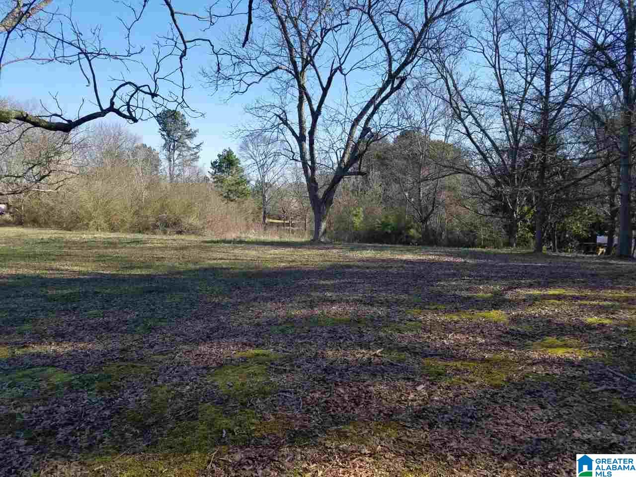 3545 Brashers Chapel Road Albertville, AL 35951 - Photo 9 of 9