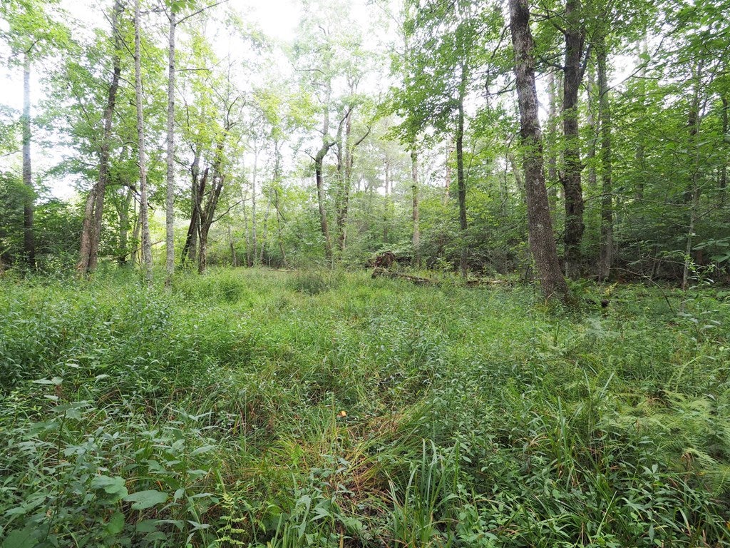 222 Wedgewood Ridge Lane Fancy Gap, VA 24328 - Photo 31 of 39 Gallery Image 31