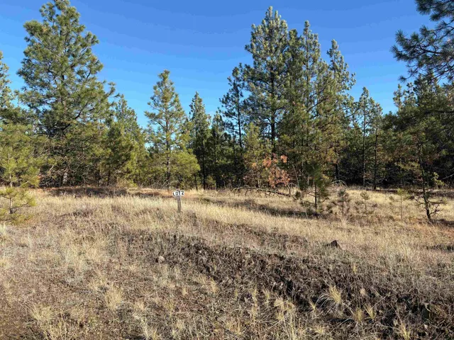 $135,900 | 35450 Prairie Lane North, Unit LOT 2, Davenport, WA 99122