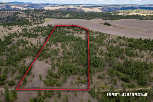 $135,900 | 35450 Prairie Lane North, Unit LOT 2, Davenport, WA 99122