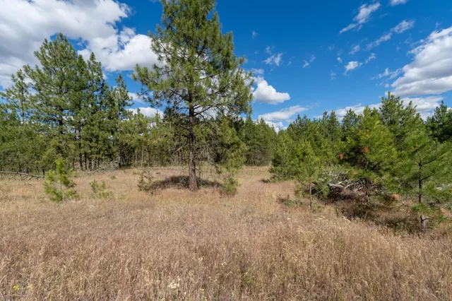 $135,900 | 35450 Prairie Lane North, Unit LOT 2, Davenport, WA 99122