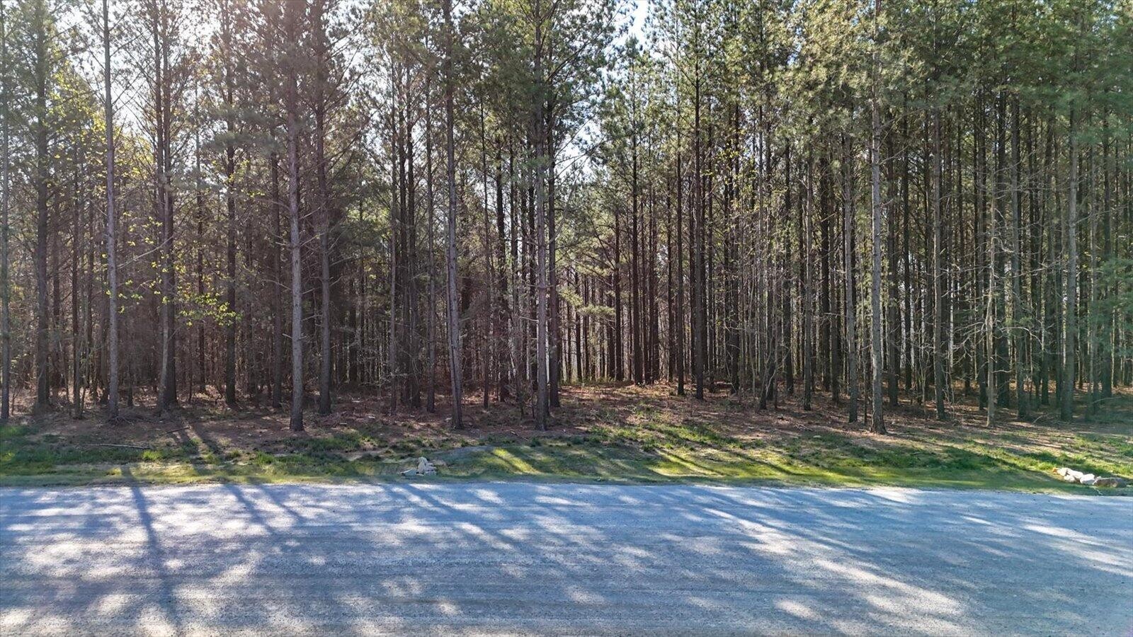 1350 Split Rail Way Whiteside, TN 37396 - Photo 14 of 19 a view of a backyard with trees