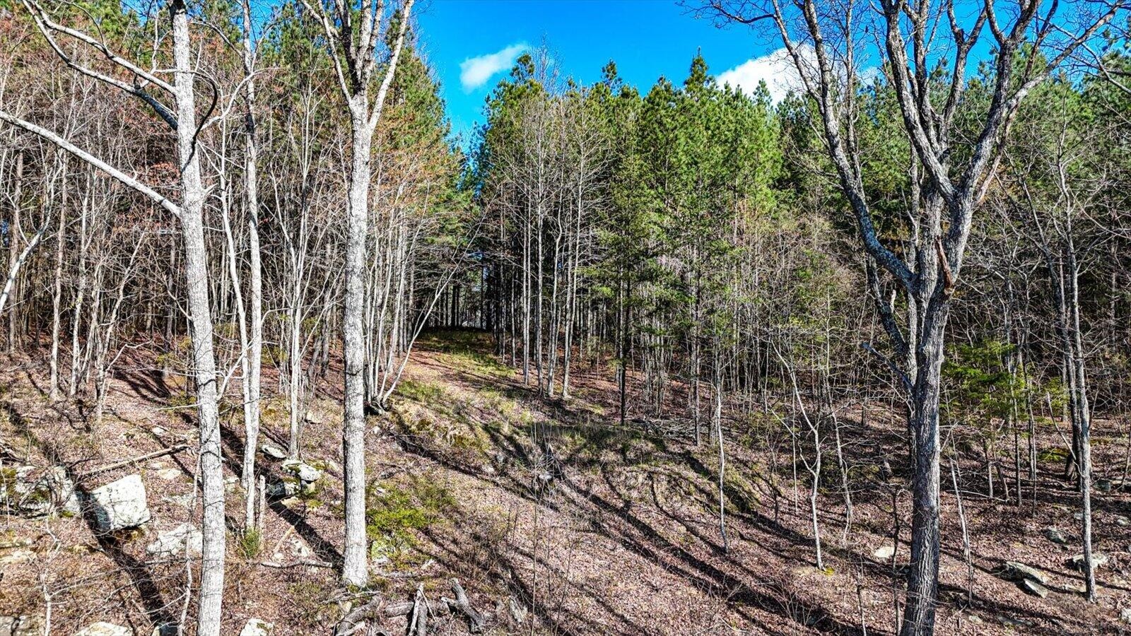 1350 Split Rail Way Whiteside, TN 37396 - Photo 3 of 19 a view of a yard