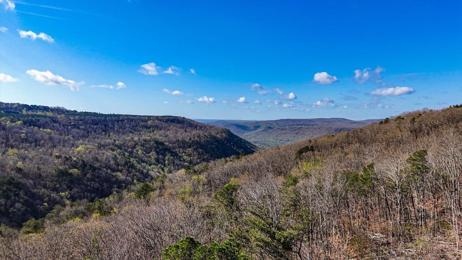 1350 Split Rail Way Whiteside, TN 37396 - Photo 5 of 19 a view of a dry yard with mountains in the background
