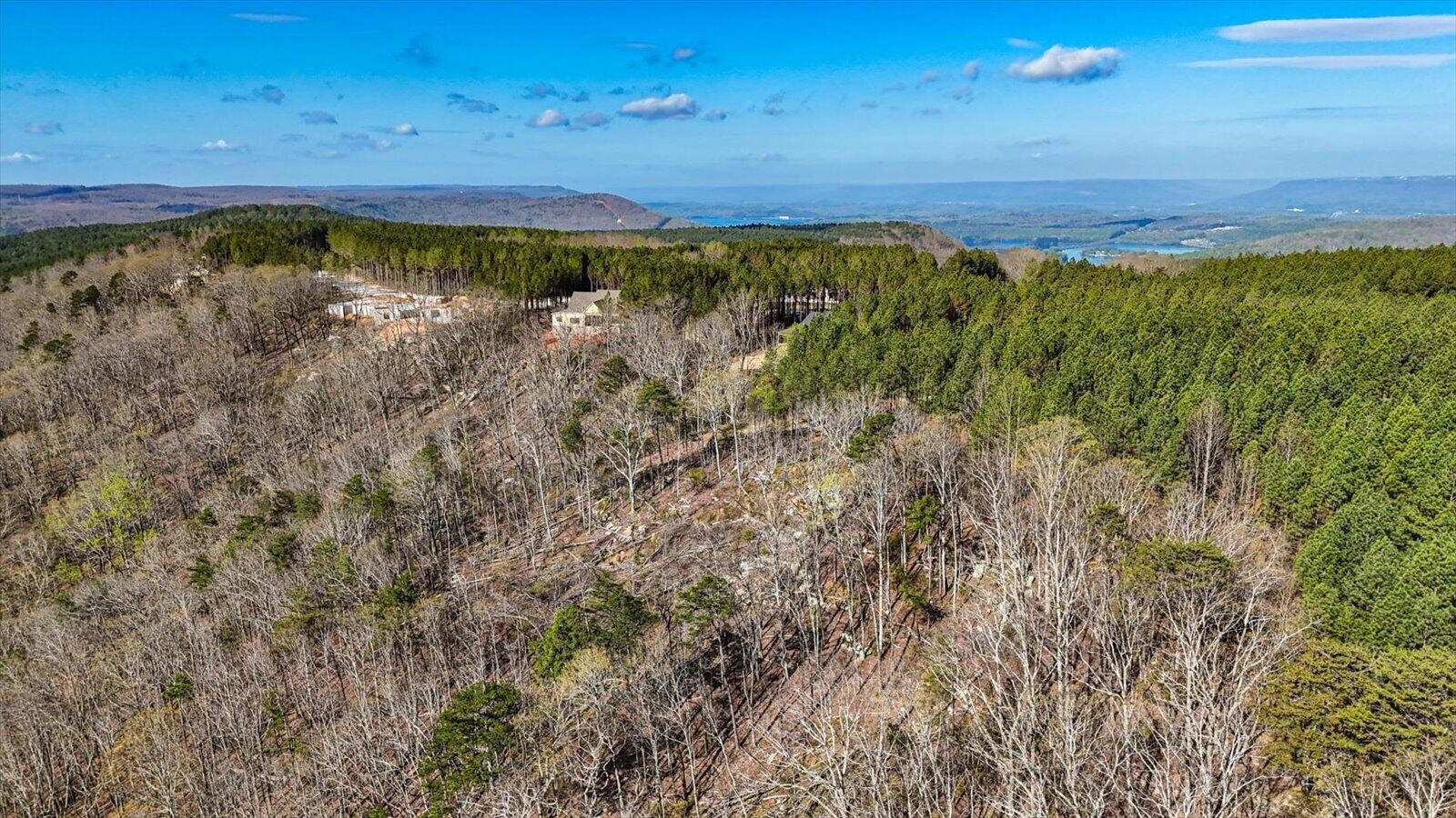 1350 Split Rail Way Whiteside, TN 37396 - Photo 10 of 19 a view of an ocean