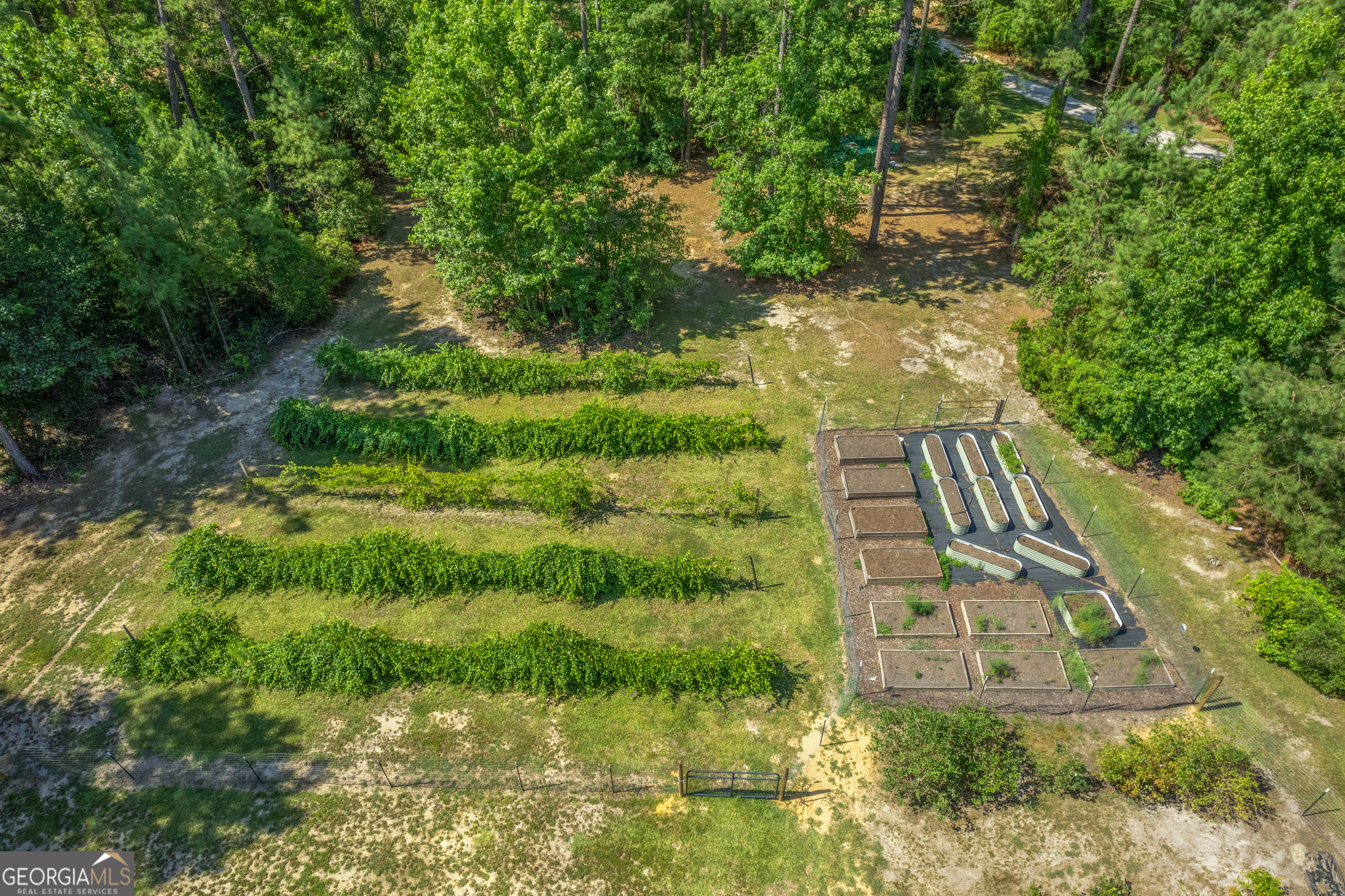 1269 Tarver Road Davisboro, GA 31018 - Photo 17 of 64