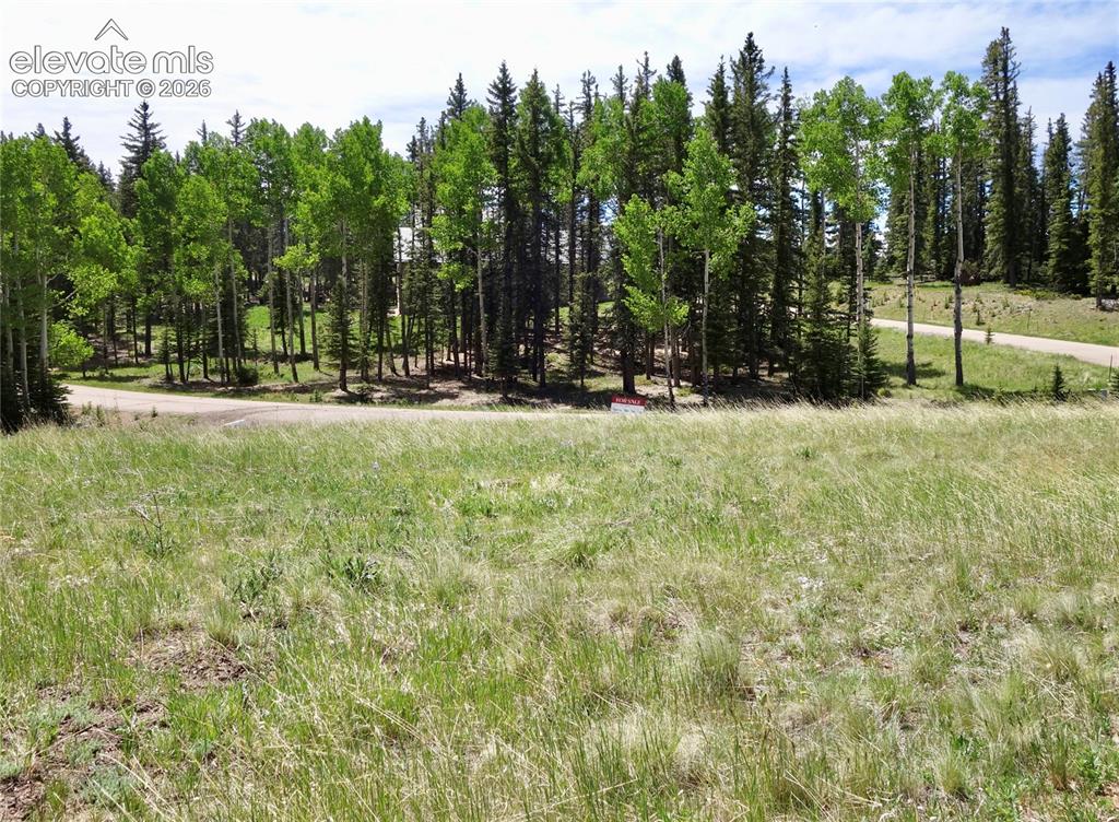 307 Pinaceae Heights Divide, CO 80814 - Photo 5 of 9