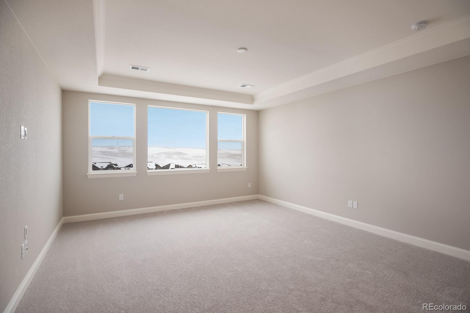 3045 Blithe Point Castle Rock, CO 80108 - Photo 10 of 27 Gallery Image 10