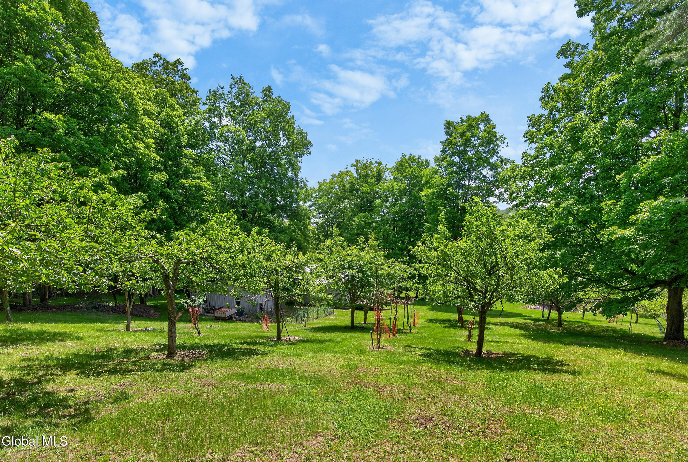 359 Seibert Road Rensselaerville, NY 12120 - Photo 49 of 67 017-359-Seibert-Road-Medusa-NY-12120