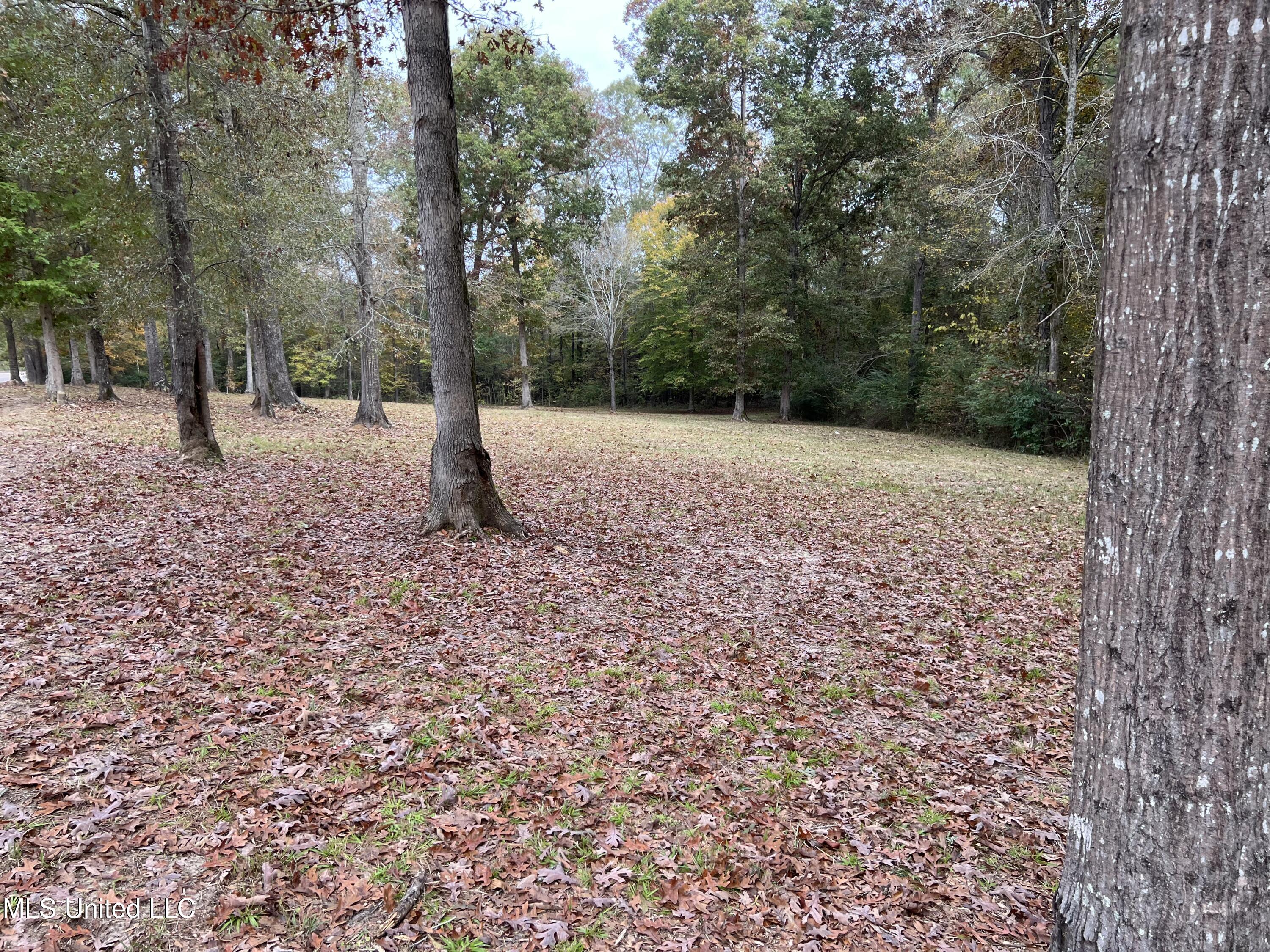 2587 Star Road Florence, MS 39073 - Photo 3 of 4 IMG-8516