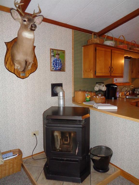 106 Sand Road Canaan, ME 04924 - Photo 13 of 26 Pellet Stove